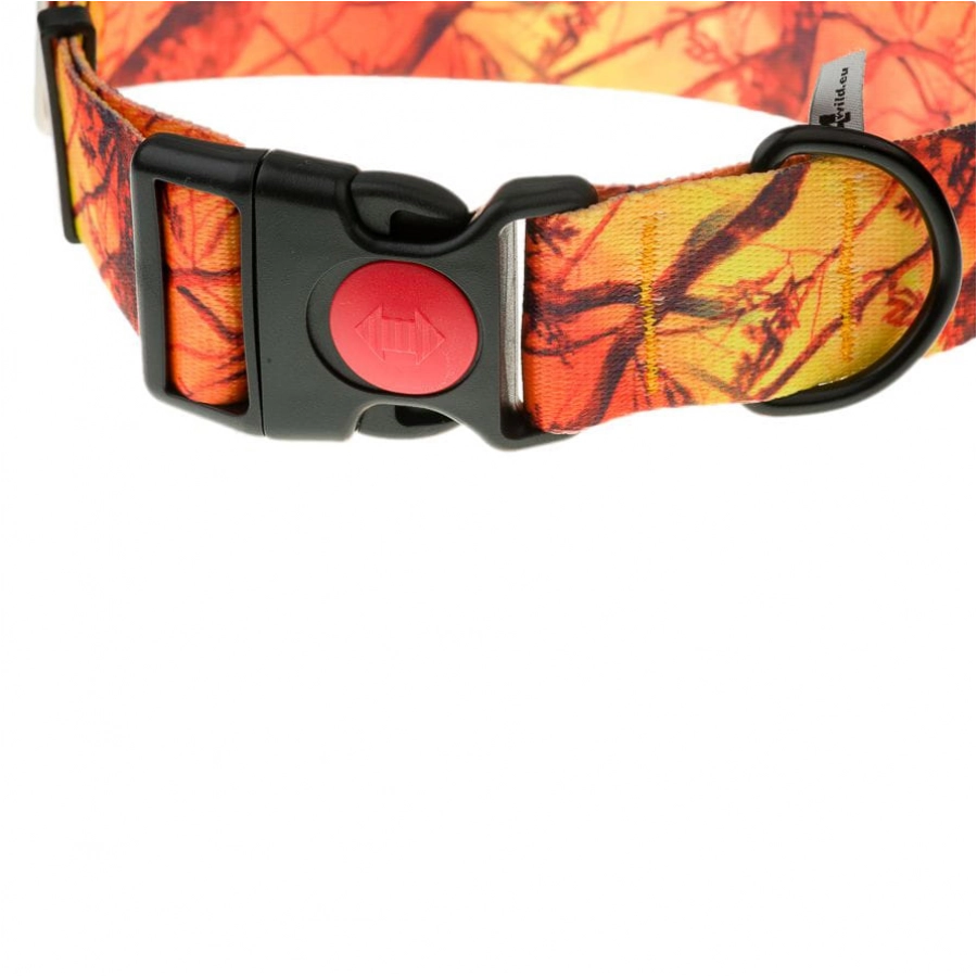 Strap collar 4wild.eu 40 mm 39-61 cm pom.kam. 2/2