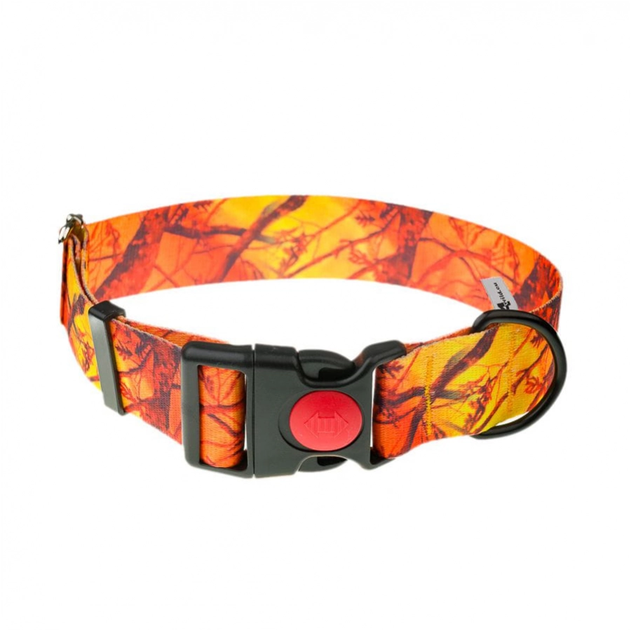 Strap collar 4wild.eu 40 mm 39-61 cm pom.kam. 1/2