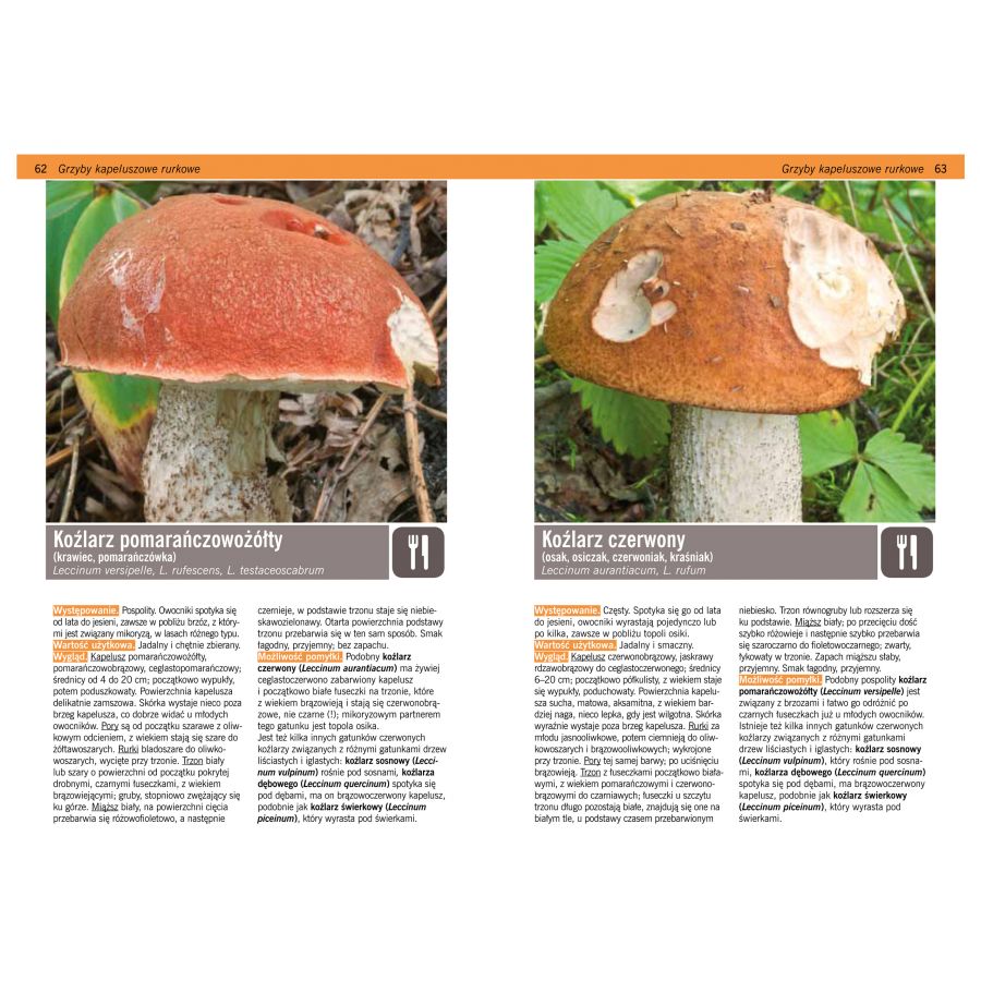 The book "Mushrooms - Encounters with Nature". 3/3