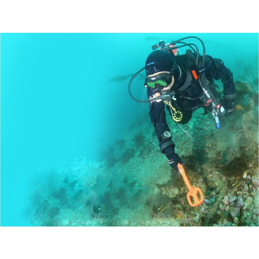 Underwater detector Quest Scuba Tector pom v.2019 3/4