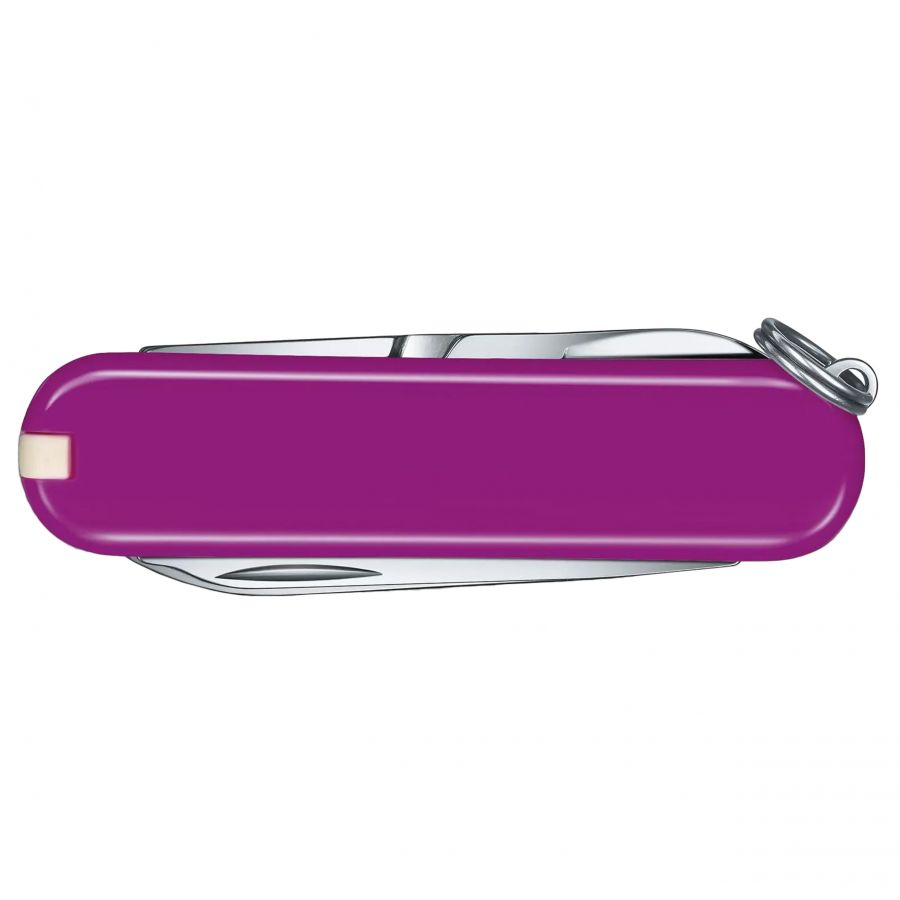 Victorinox Classic pocket knife 0.6223.52G purple 3/5