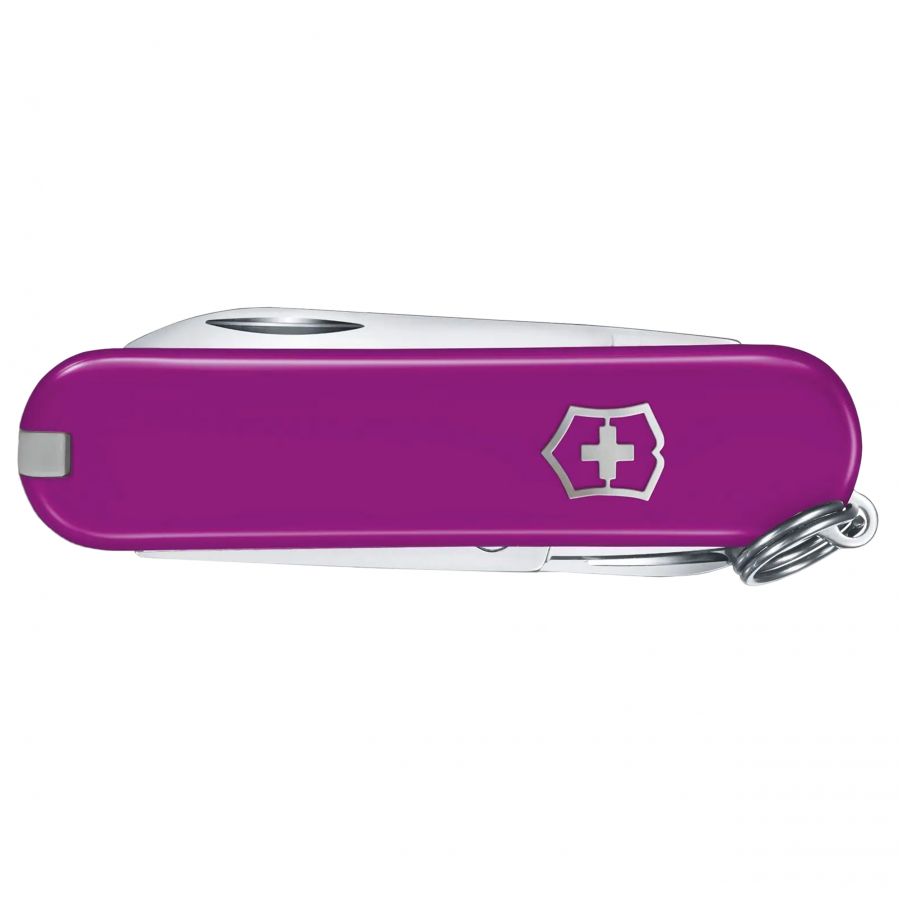 Victorinox Classic pocket knife 0.6223.52G purple 2/5