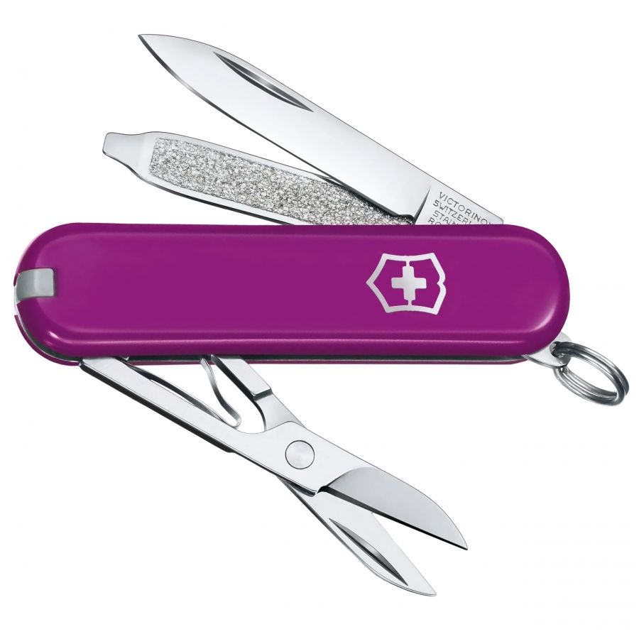 Victorinox Classic pocket knife 0.6223.52G purple 1/5