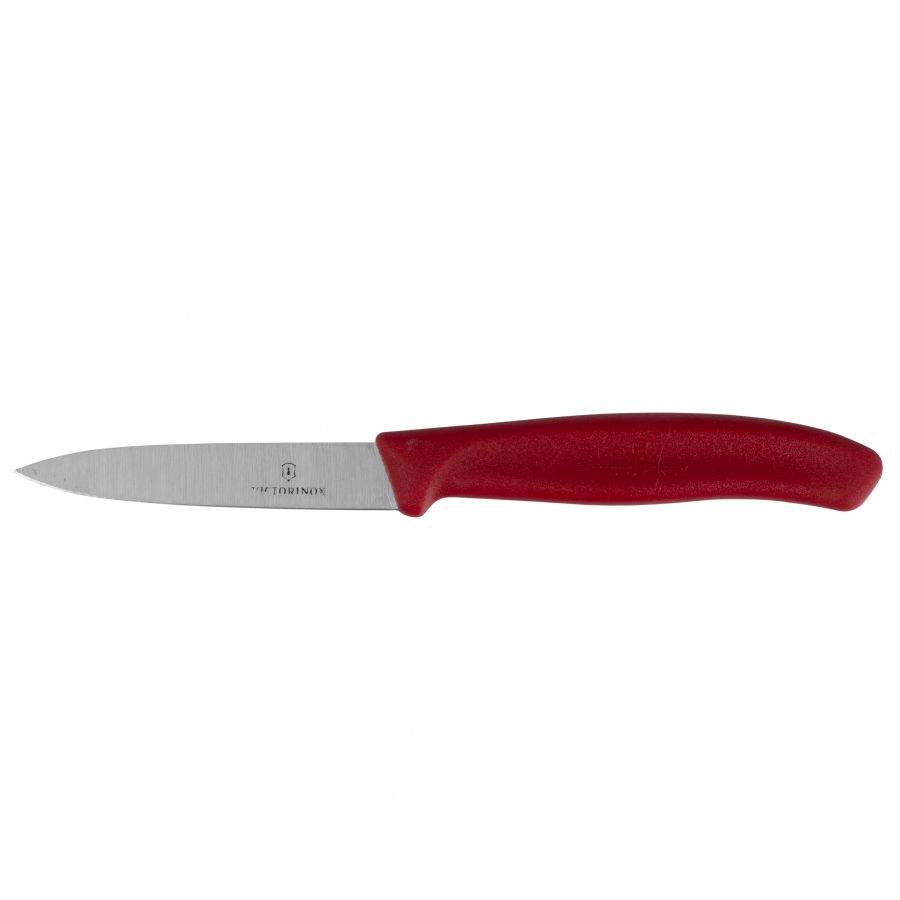 Victorinox best sale fruit knife