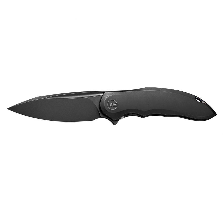 WE Knife Makani folding knife WE21048-1 black 1/7