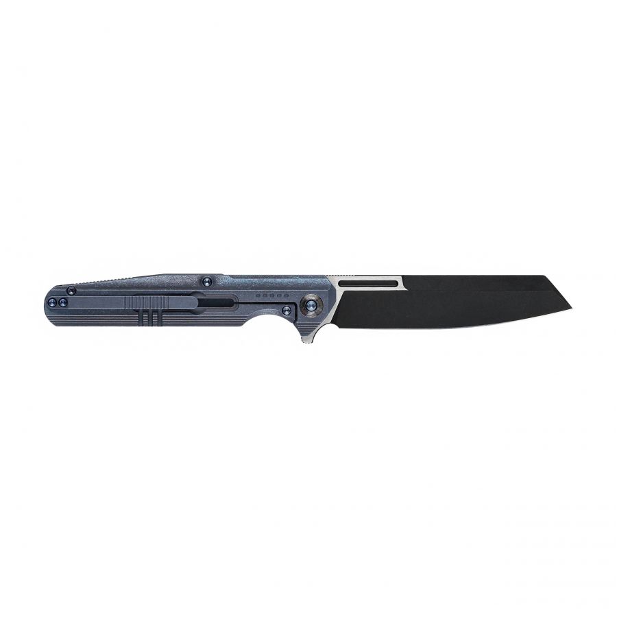 WE Knife Reiver WE16020-4 blue folding knife 2/6