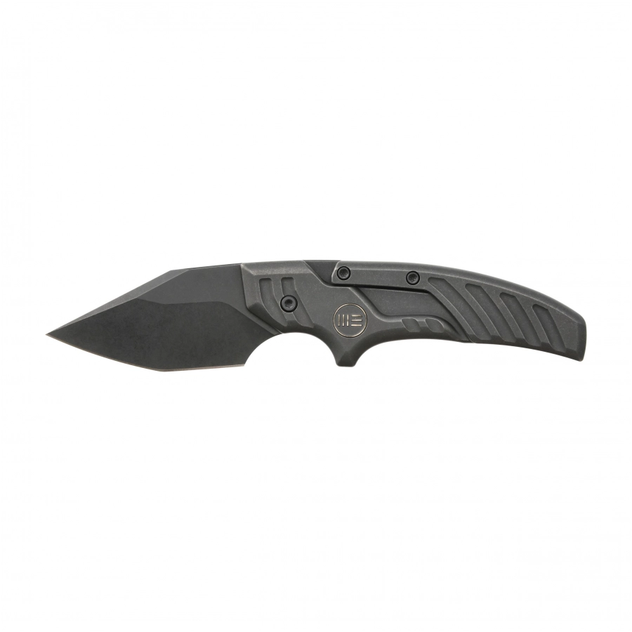 WE Knife Typhoeus folding knife WE21036B-1 black 1/9