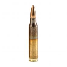 Amunicja GGG kal .223 Rem 55 gr/3,56 g FMJ