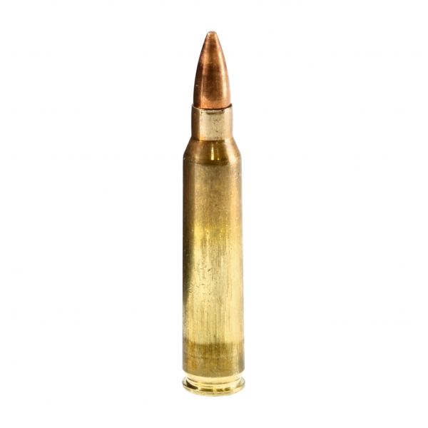GECO ammunition cal. .223 Rem FMJ Target Clean 3.6 g