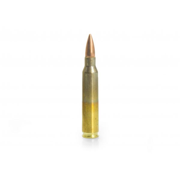 GGG cal .223 Rem 55 gr/3.56 g FMJ ammunition