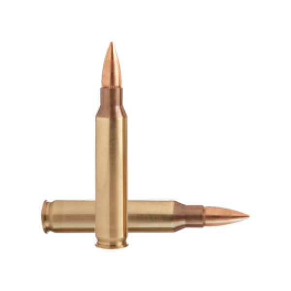 GGG cal .223 Rem 62 gr/4 g FMJ ammunition