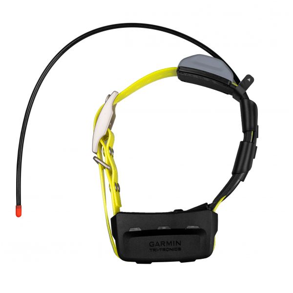 K 5X dog navigation collar