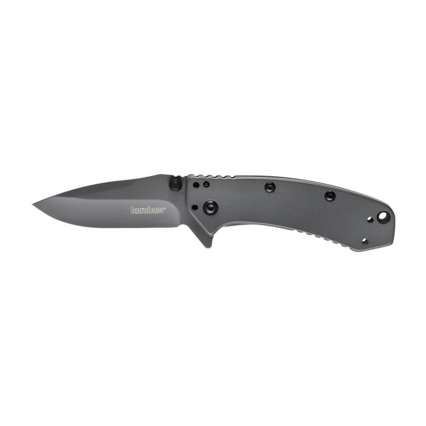 Kershaw Cryo 1555TI folding knife