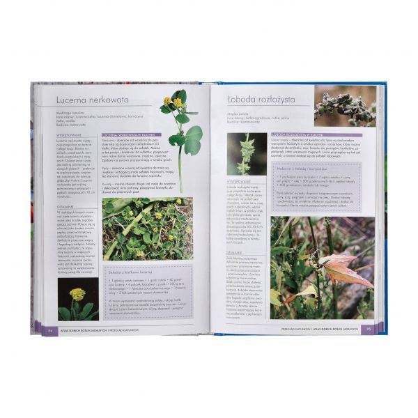 Książka „Atlas dzikich roślin jadalnych"

