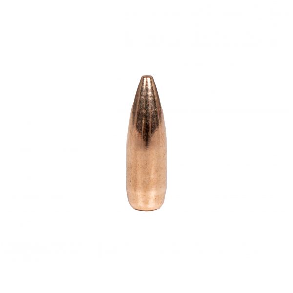 LOS .224 55grs FMJ BT 1000 bullet.