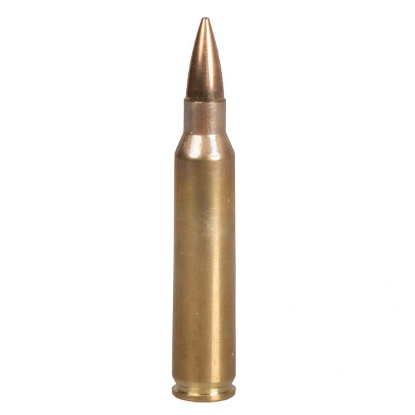 Norma 223 Rem ammunition. TAC FMJ 55 gr