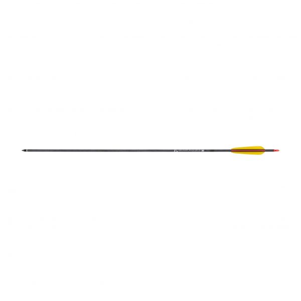 Poe Lang arrow carbon fiber 30" gr sharp discs