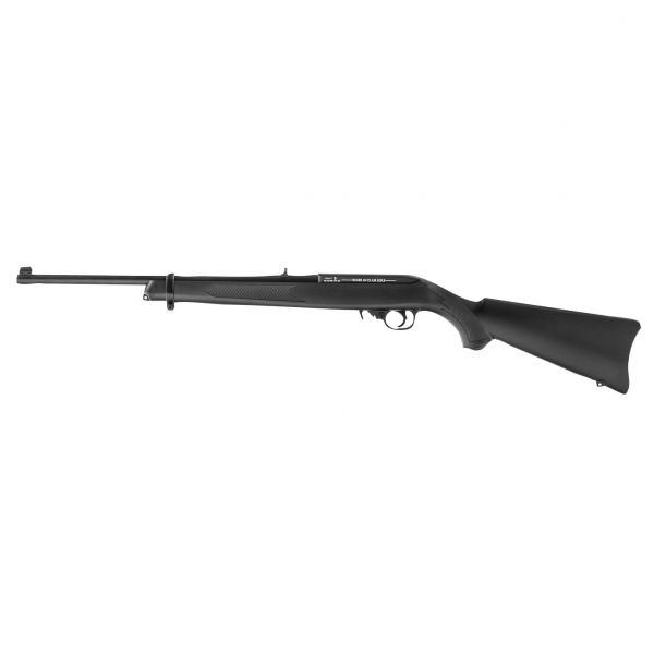 Ruger 10/22 4.5 mm air rifle