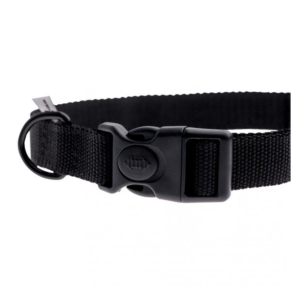 Strap collar 4wild.eu 20 mm 25-35 cm black