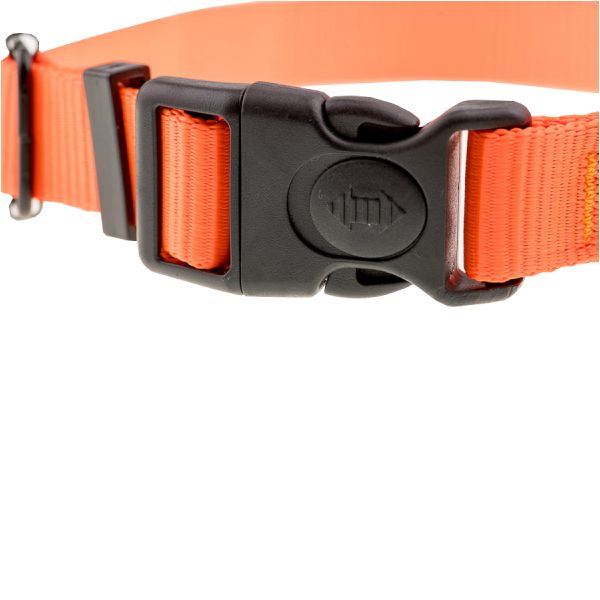Strap collar 4wild.eu 25 mm 37-57 cm orange.