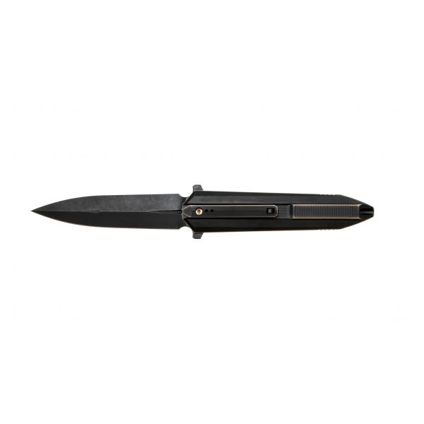 WE Knife Diatomic folding knife WE22032-1 black
